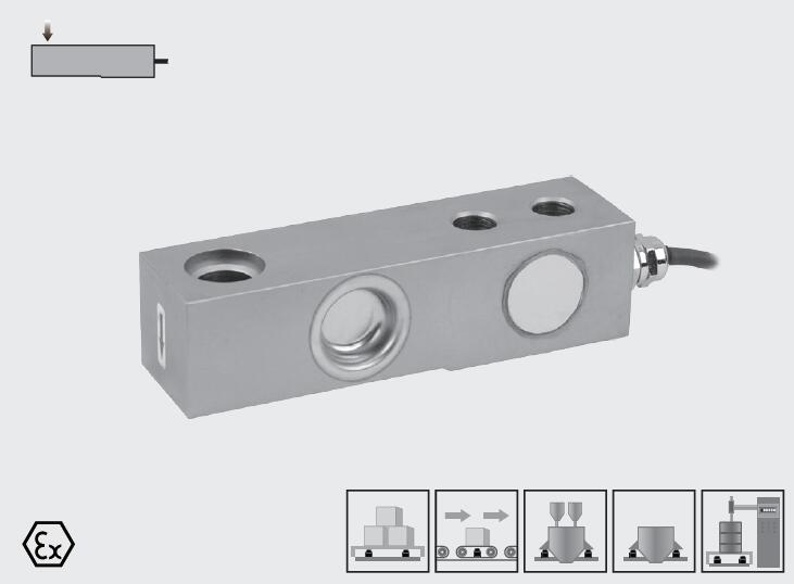 美國 Transcell SBS/SBSZ 傳感器