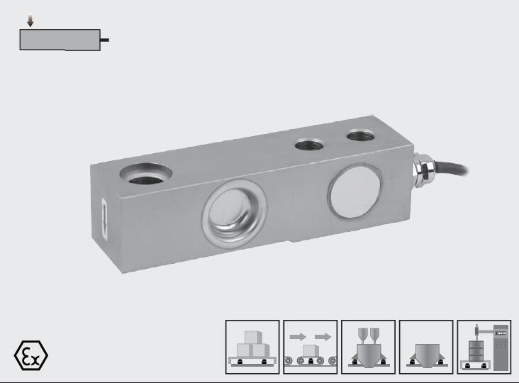 美國 Transcell SBSZ 傳感器